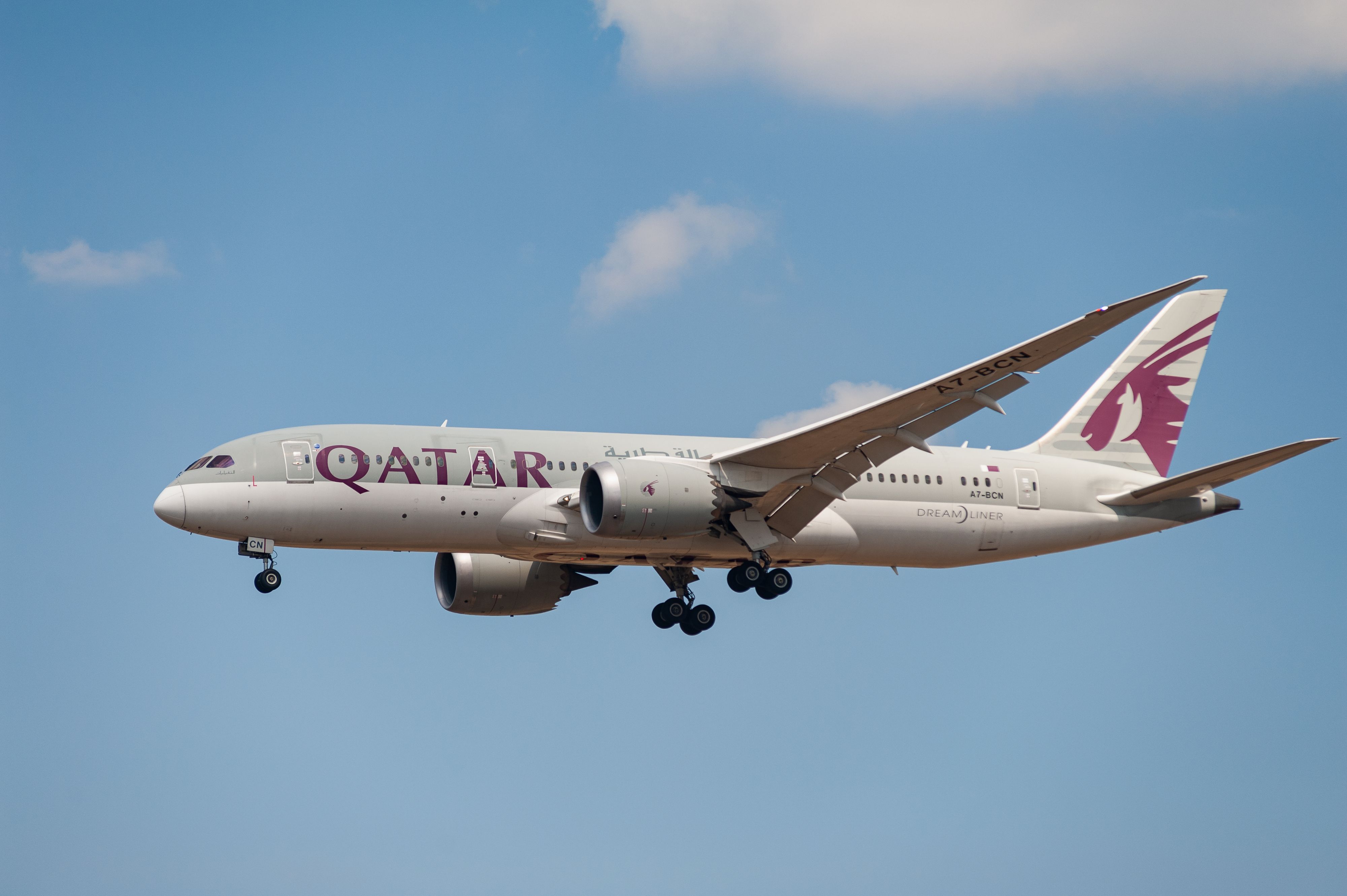 Download von www.picturedesk.com am 25.10.2022 (13:21).  31.07.2022, Berlin, Deutschland, Europa - Ein Passagierflugzeug vom Typ Boeing 787-8 Dreamliner der Qatar Airways mit der Registrierung A7-BCN im Landeanflug auf den Flughafen Berlin Brandenburg BER. Qatar Airways ist Mitglied der Oneworld Luftfahrtallianz. 0SL220731D022CARO.JPG [MODEL RELEASE: NOT APPLICABLE, PROPERTY RELEASE: NO (c) caro images / Olaf Schuelke - 20220731_PD19026 - Rechteinfo: Rights Managed (RM)