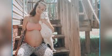 Schwangere und trächtige Katze entbinden am selben Tag