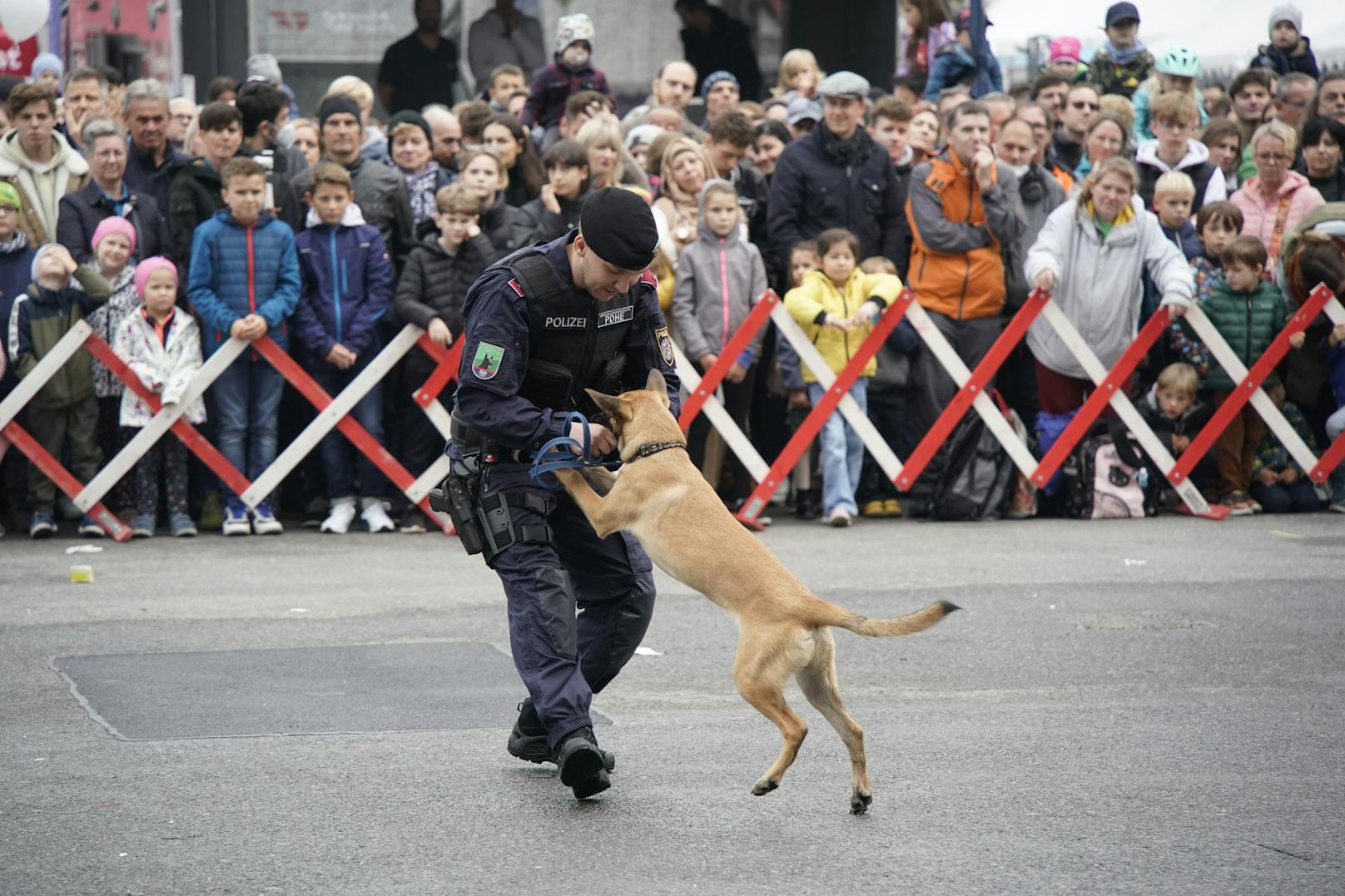 Die Diensthunde der Polizei zeigten ihr Können.