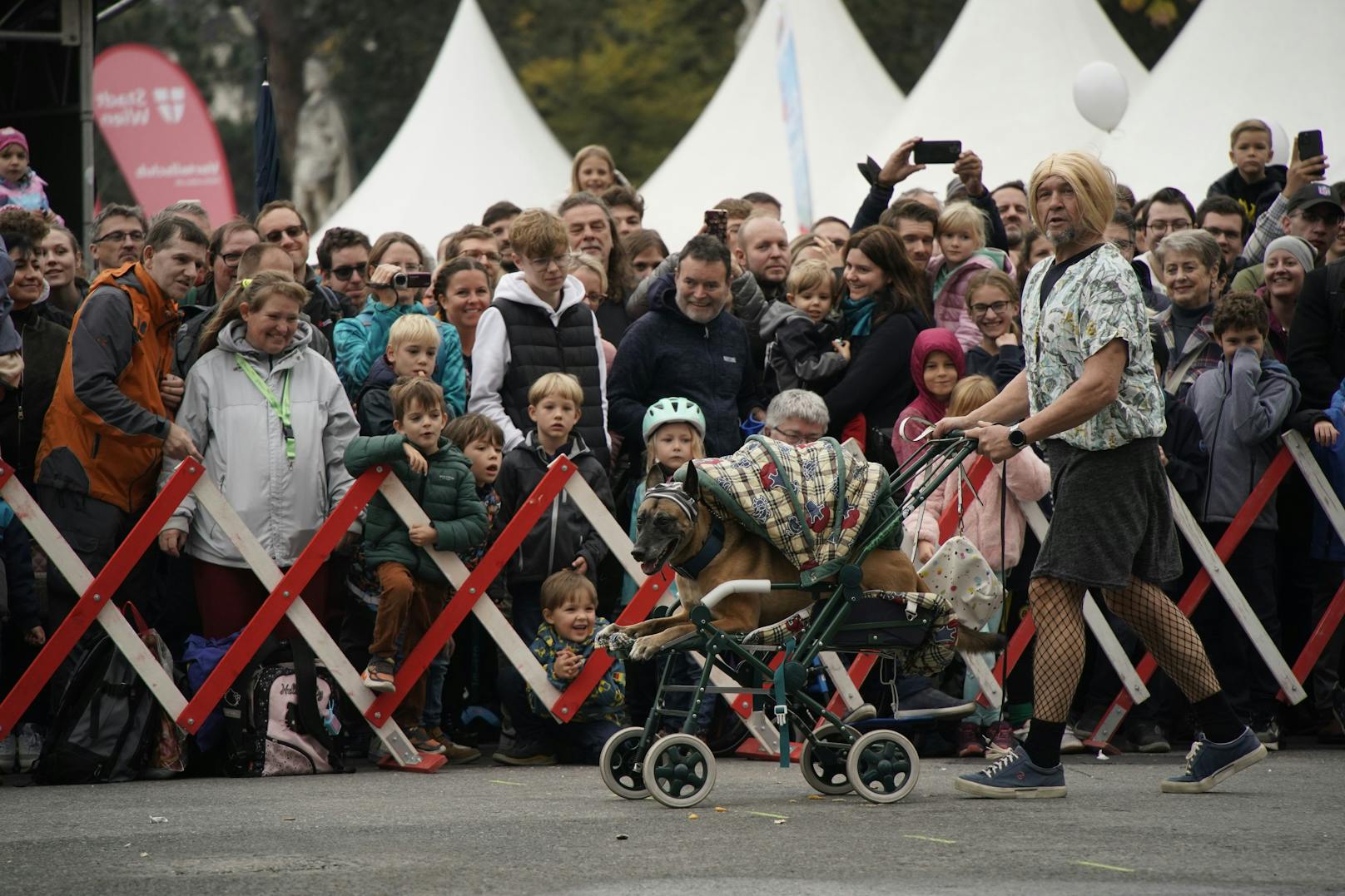Nanu, was ist denn hier passiert? Bei der Präsentation der Polizeihunde am Wiener Sicherheitsfest sorgte ein Vierbeiner im Kinderwagen mit recht maskulinem Frauchen für Unterhaltung.