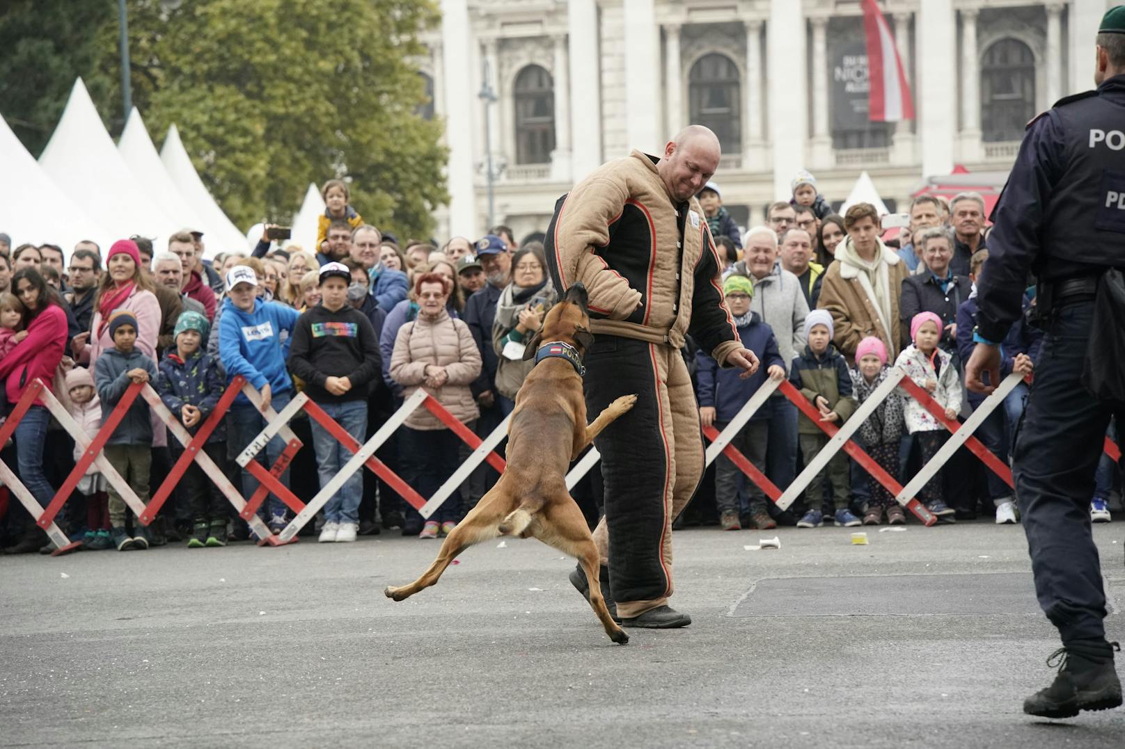 Gegen diesen Hund hatte der "Angreifer" keine Chance.