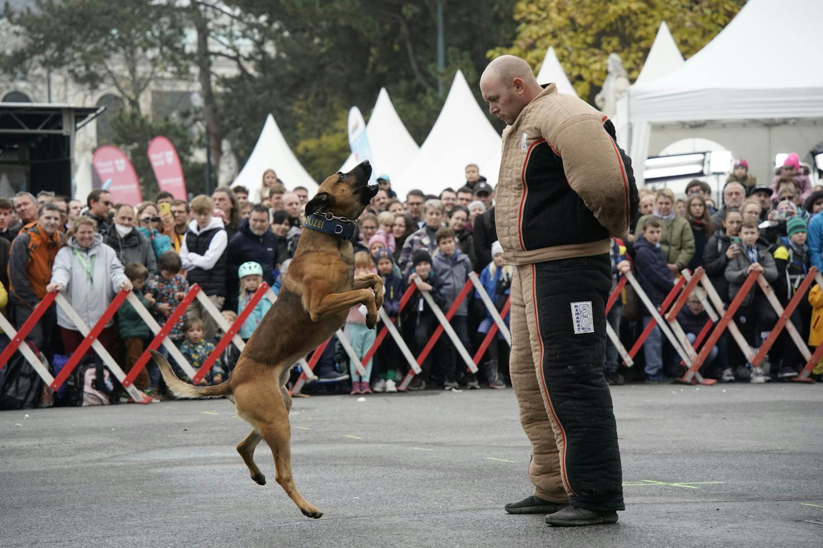 Wer ist stärker?