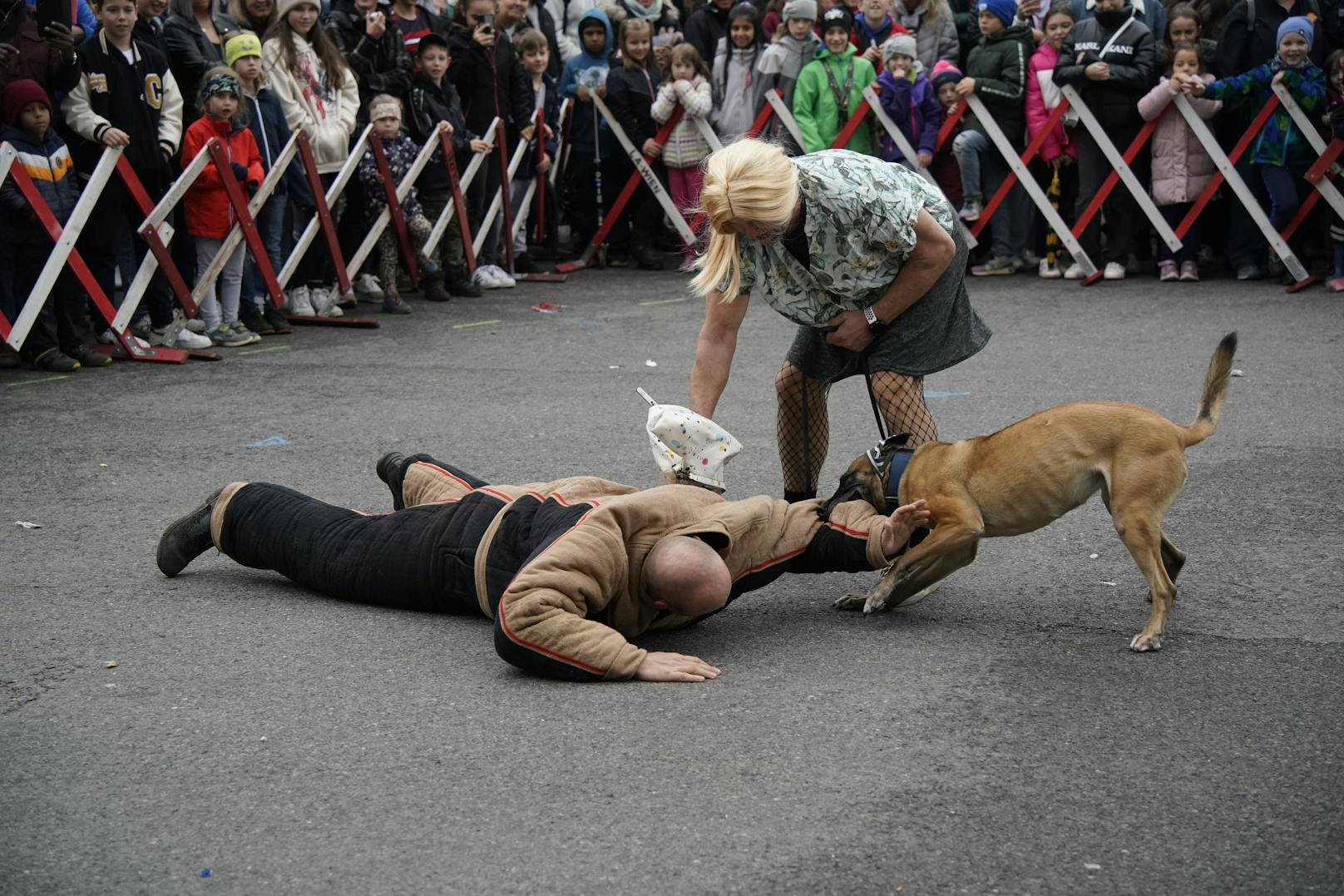 Geschafft: Der Hund vereitelte den Überfall.