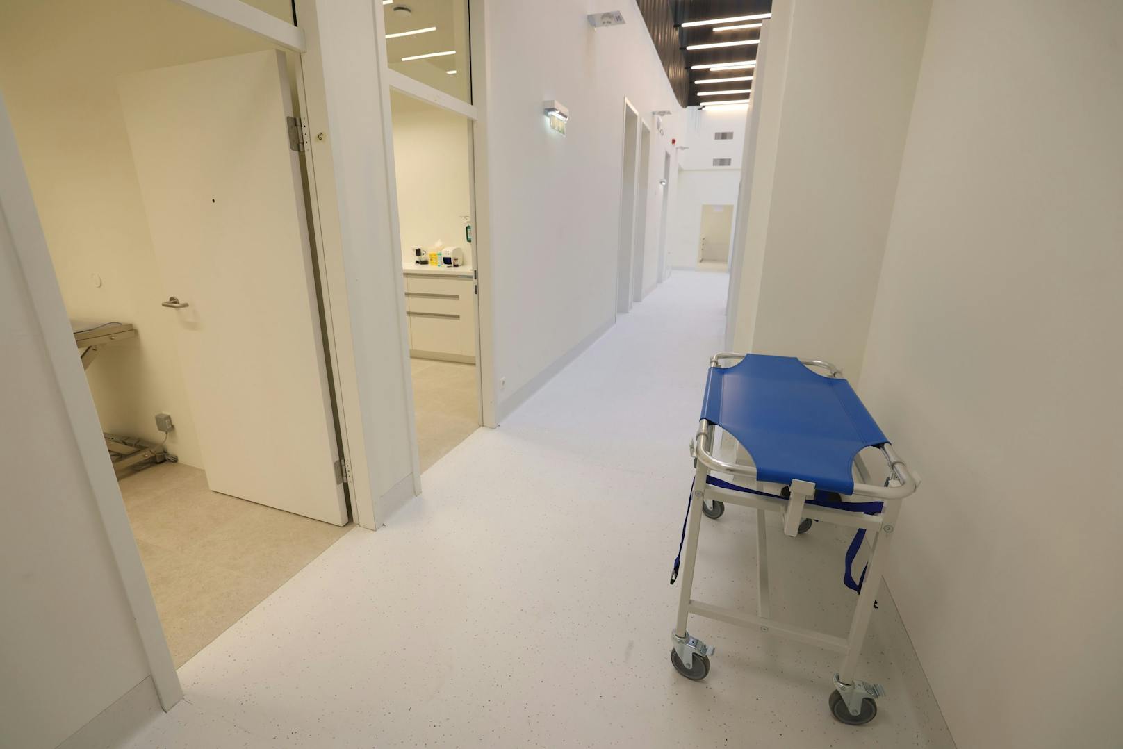 Wie in einem Krankenhaus für Menschen, stehen hier auf der Station Betten die Patienten bereit. Maximal könnten 90 stationäre Patienten aufgenommen werden.