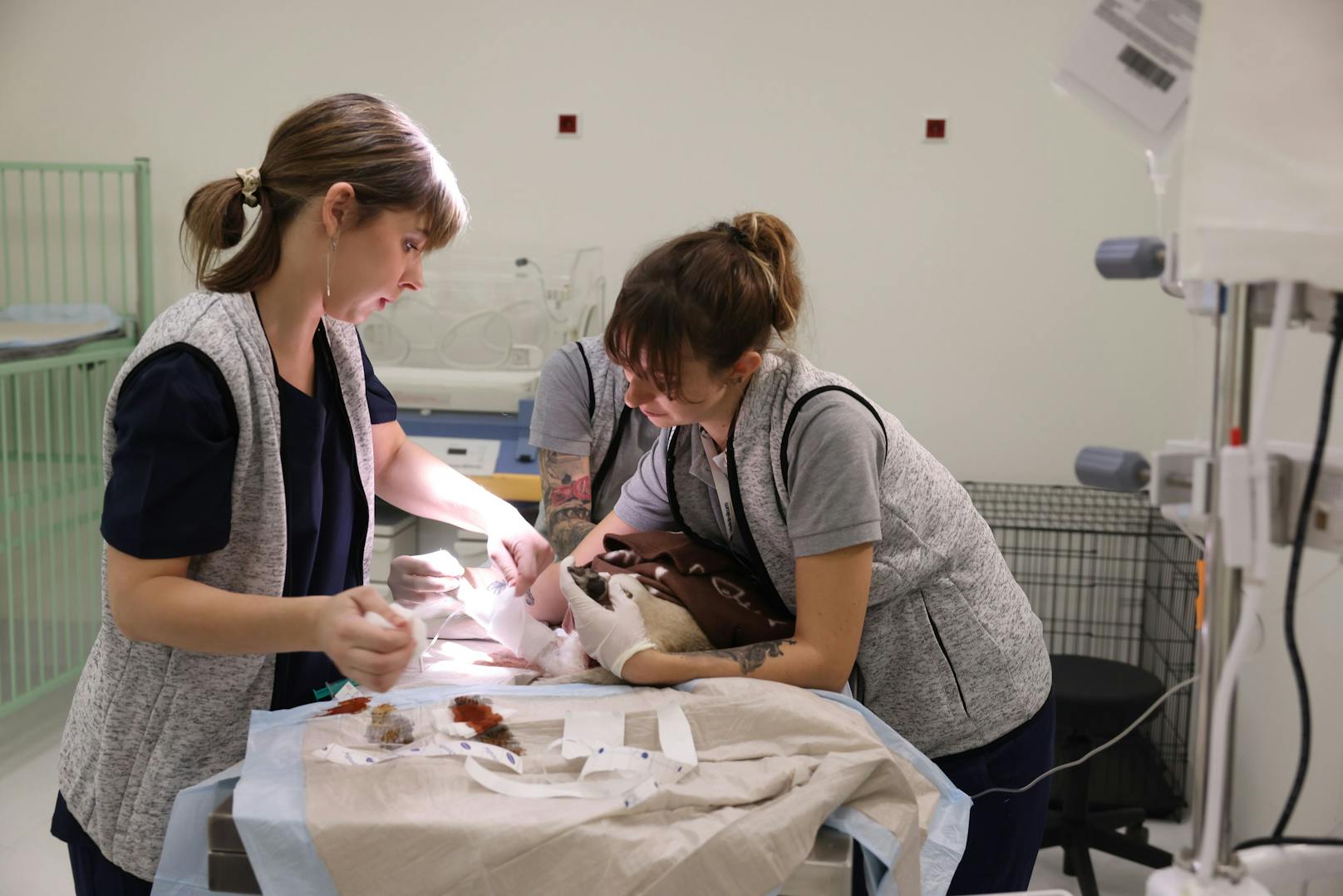 Eine Operation ist in der Klinik auch Nachts in der Notfallversorgung möglich.