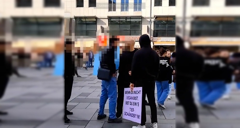 Die Aktivisten wurden direkt auf dem Stephansplatz angepöbelt.