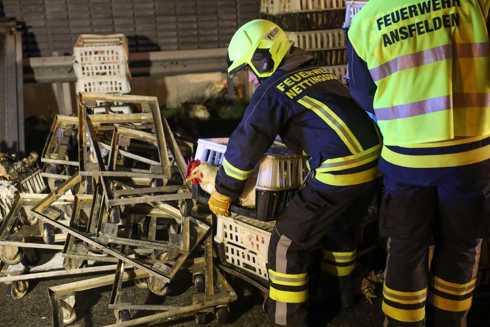 Ein Brand eines Tiertransporters auf der Westautobahn bei Ansfelden (Bezirk Linz-Land) wurde in der Nacht auf Freitag zu einer Herausforderung für die Einsatzkräfte.