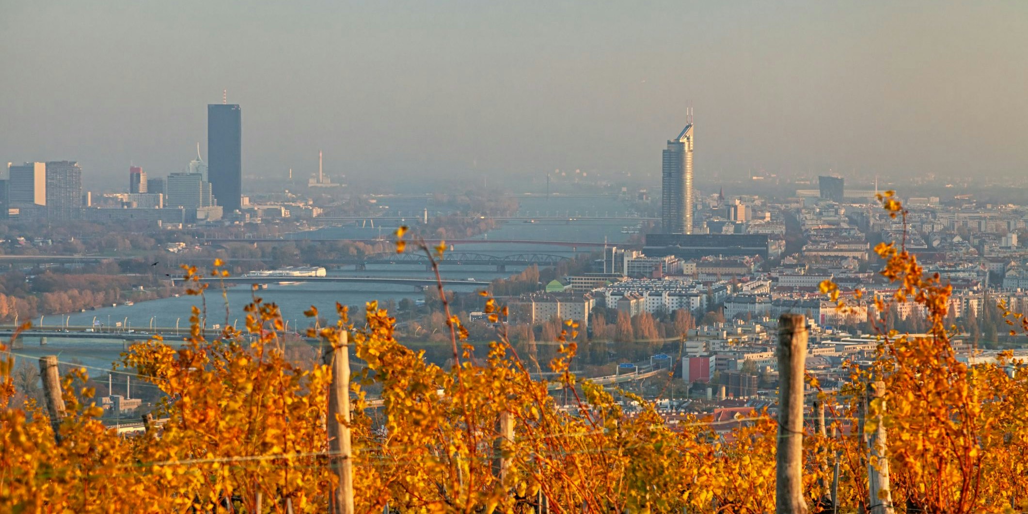 Blick auf die Wiener Skyline über herbstliche Weinberge hinweg.