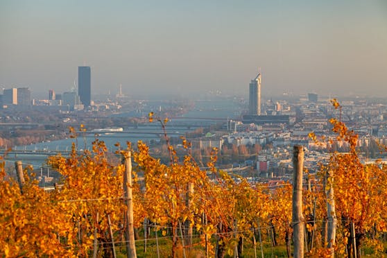 Blick auf die Wiener Skyline über herbstliche Weinberge hinweg.