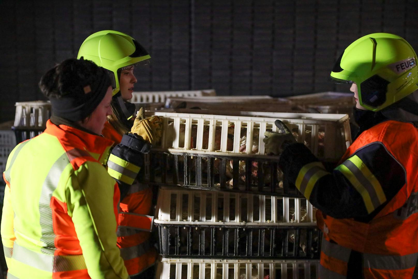 Ein Brand eines Tiertransporters auf der Westautobahn bei Ansfelden (Bezirk Linz-Land) wurde in der Nacht auf Freitag zu einer Herausforderung für die Einsatzkräfte.