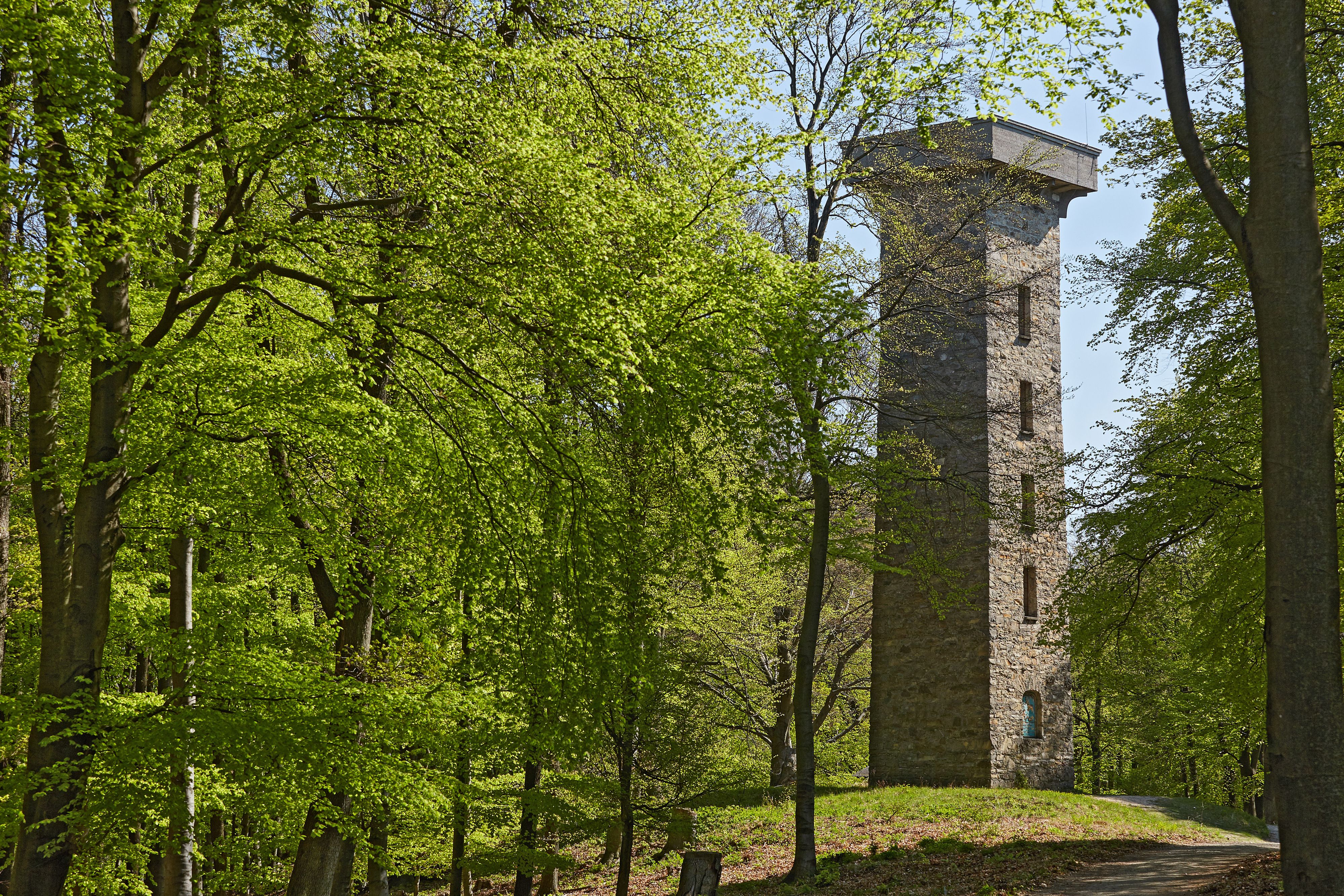 Der Mann wurde tot neben der Hubertuswarte im Lainzer Tiergarten gefunden.