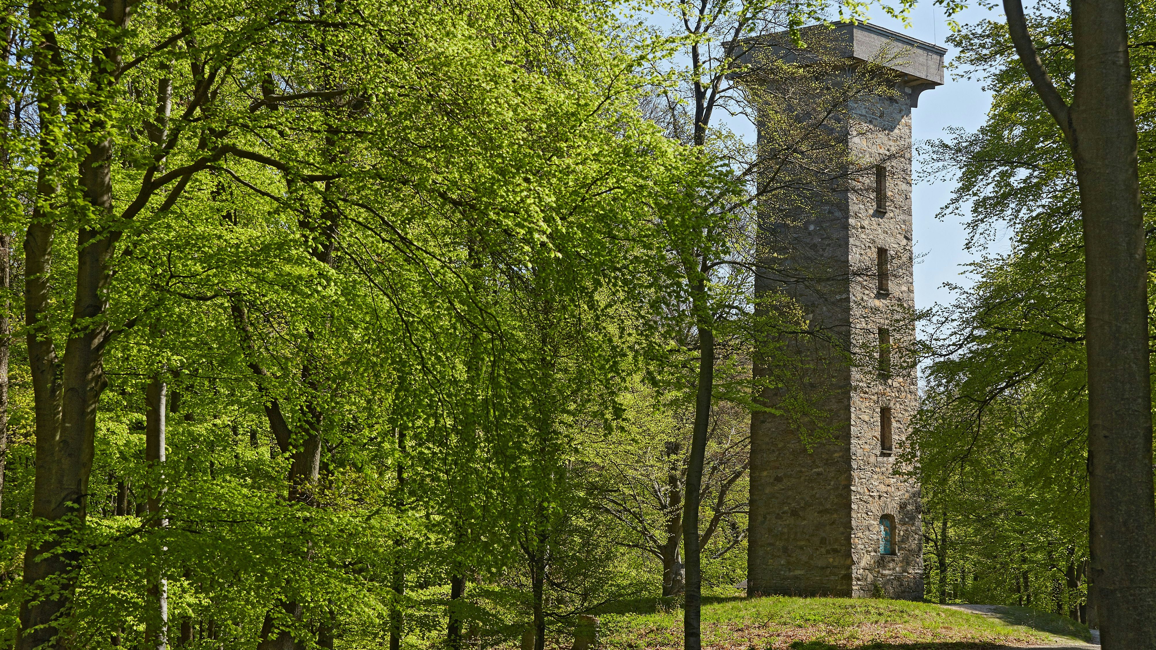 Der Mann wurde tot neben der Hubertuswarte im Lainzer Tiergarten gefunden.