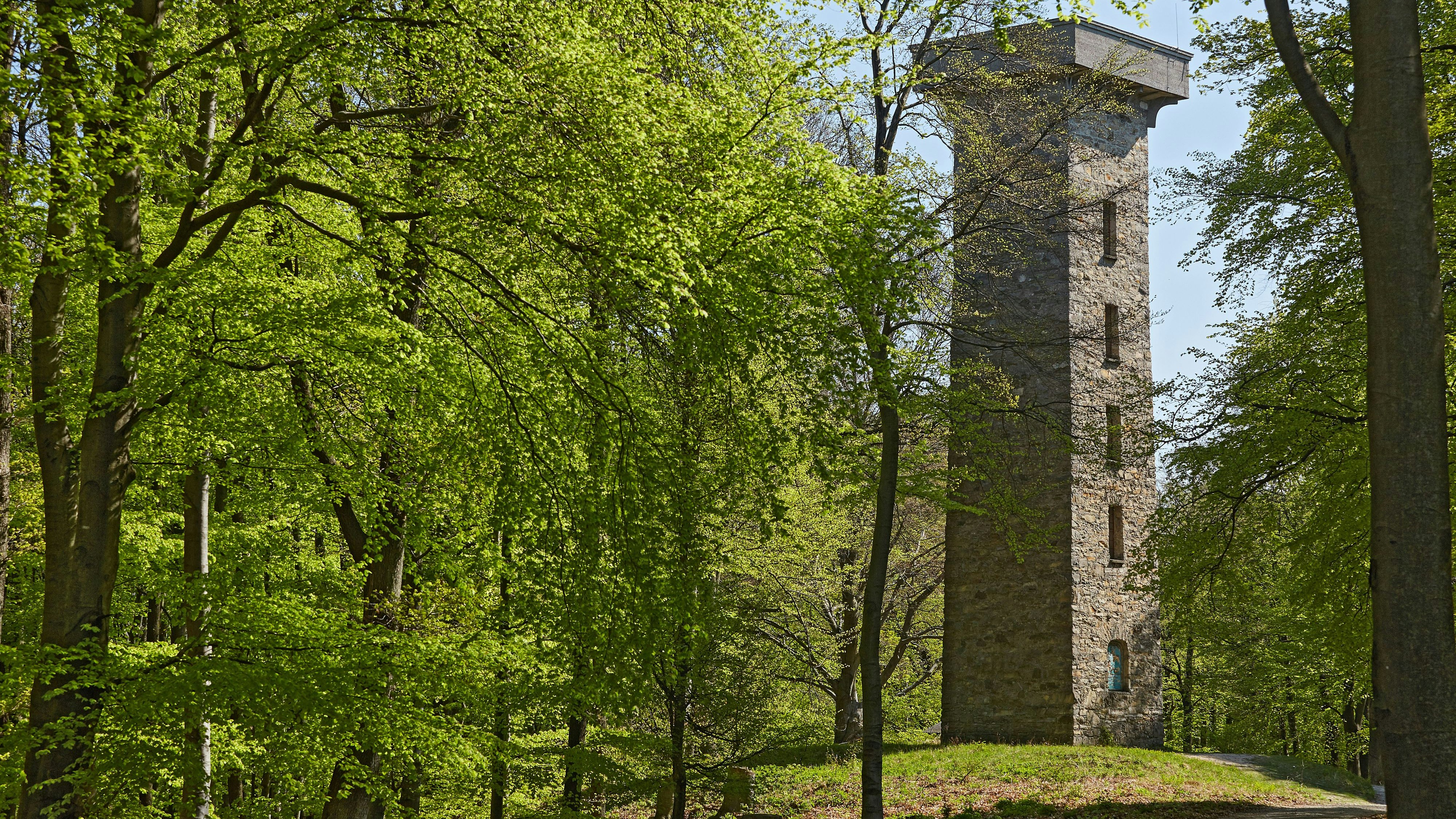 Der Mann wurde tot neben der Hubertuswarte im Lainzer Tiergarten gefunden.