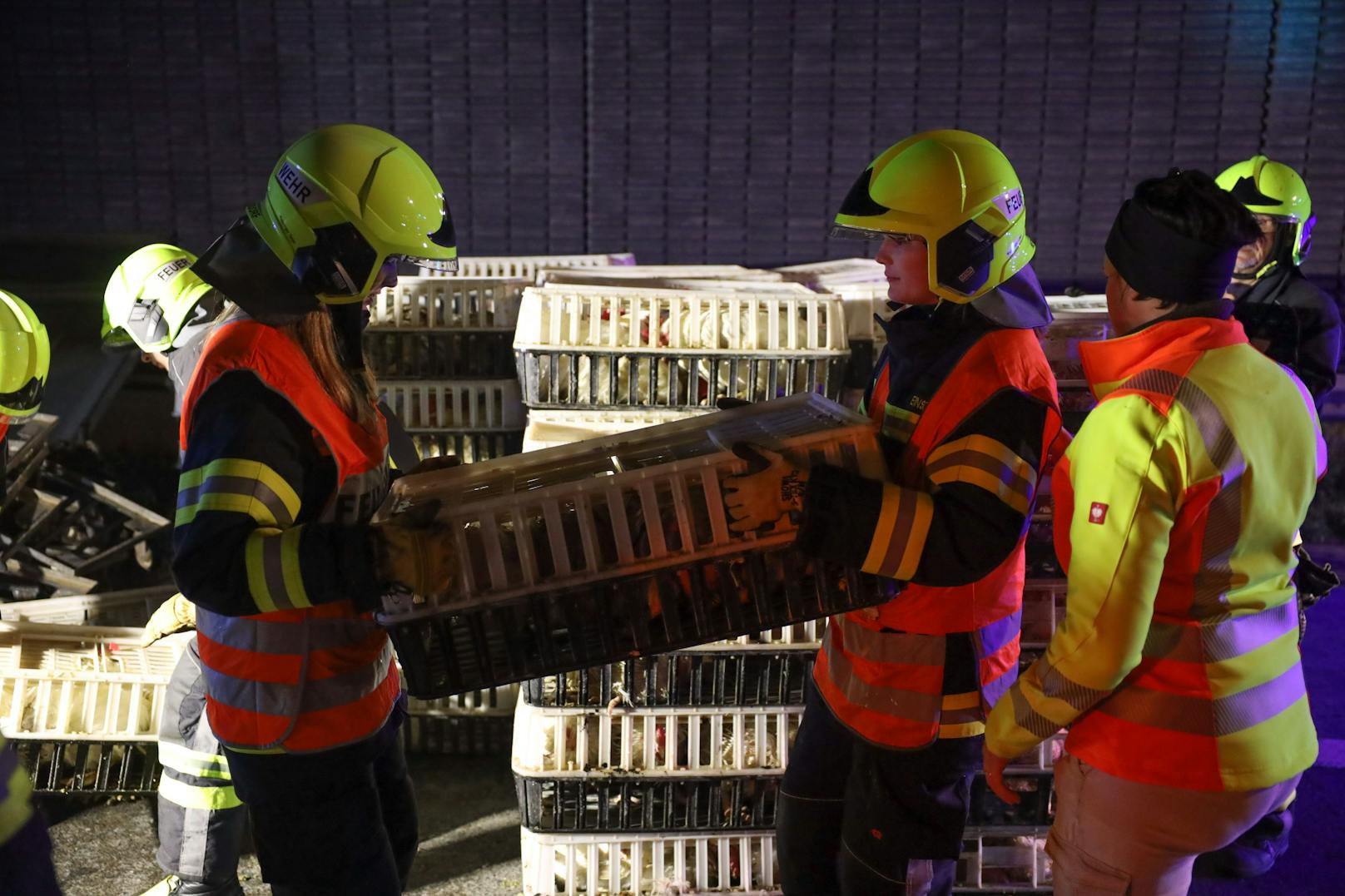 Ein Brand eines Tiertransporters auf der Westautobahn bei Ansfelden (Bezirk Linz-Land) wurde in der Nacht auf Freitag zu einer Herausforderung für die Einsatzkräfte.