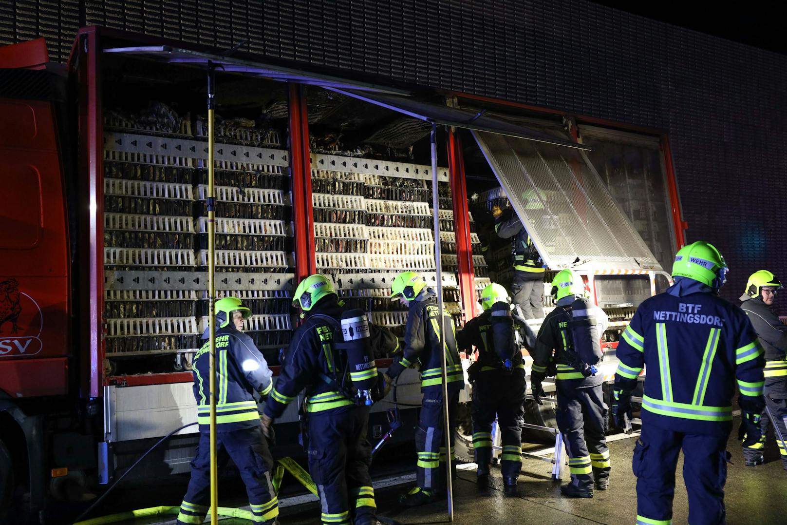 Ein Brand eines Tiertransporters auf der Westautobahn bei Ansfelden (Bezirk Linz-Land) wurde in der Nacht auf Freitag zu einer Herausforderung für die Einsatzkräfte.