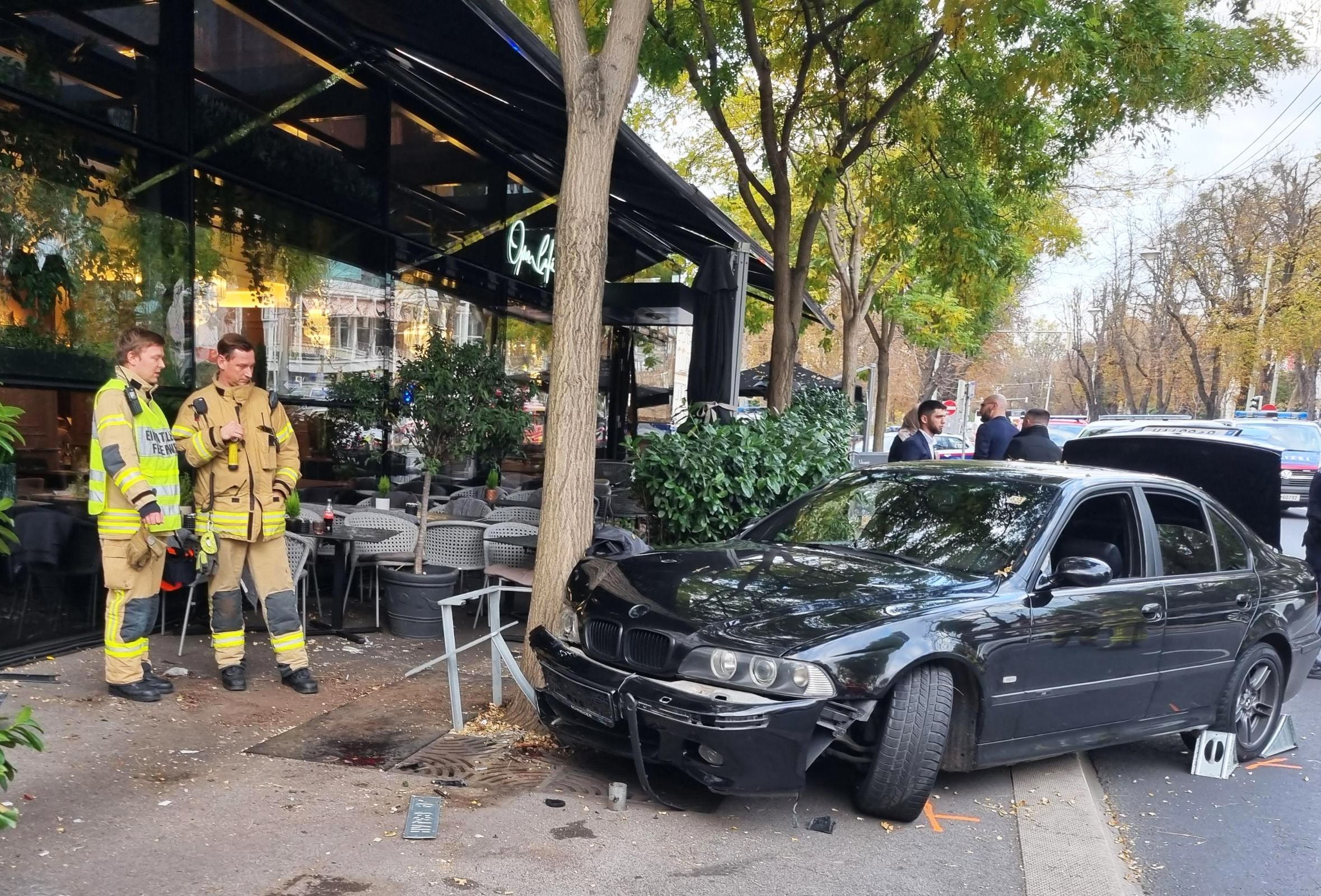 Der Wagen kam an einem Baum zum Stillstand.