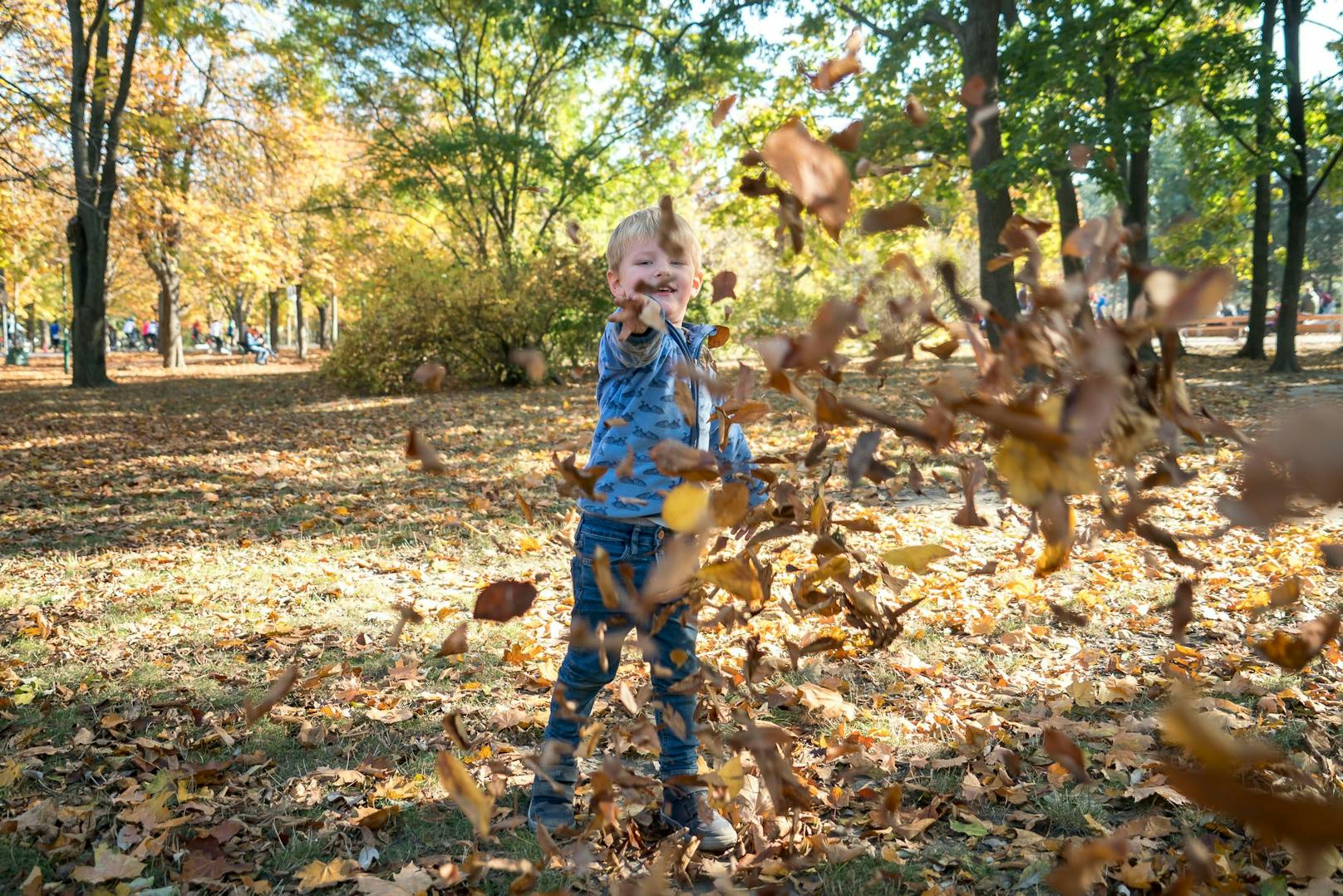 Nicht nur Kinder, auch Hunde spielen im Herbst gerne im und mit dem bunten Laub.