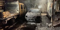 Feurige Hühnerflügerl setzten Autos in Wien in Flammen