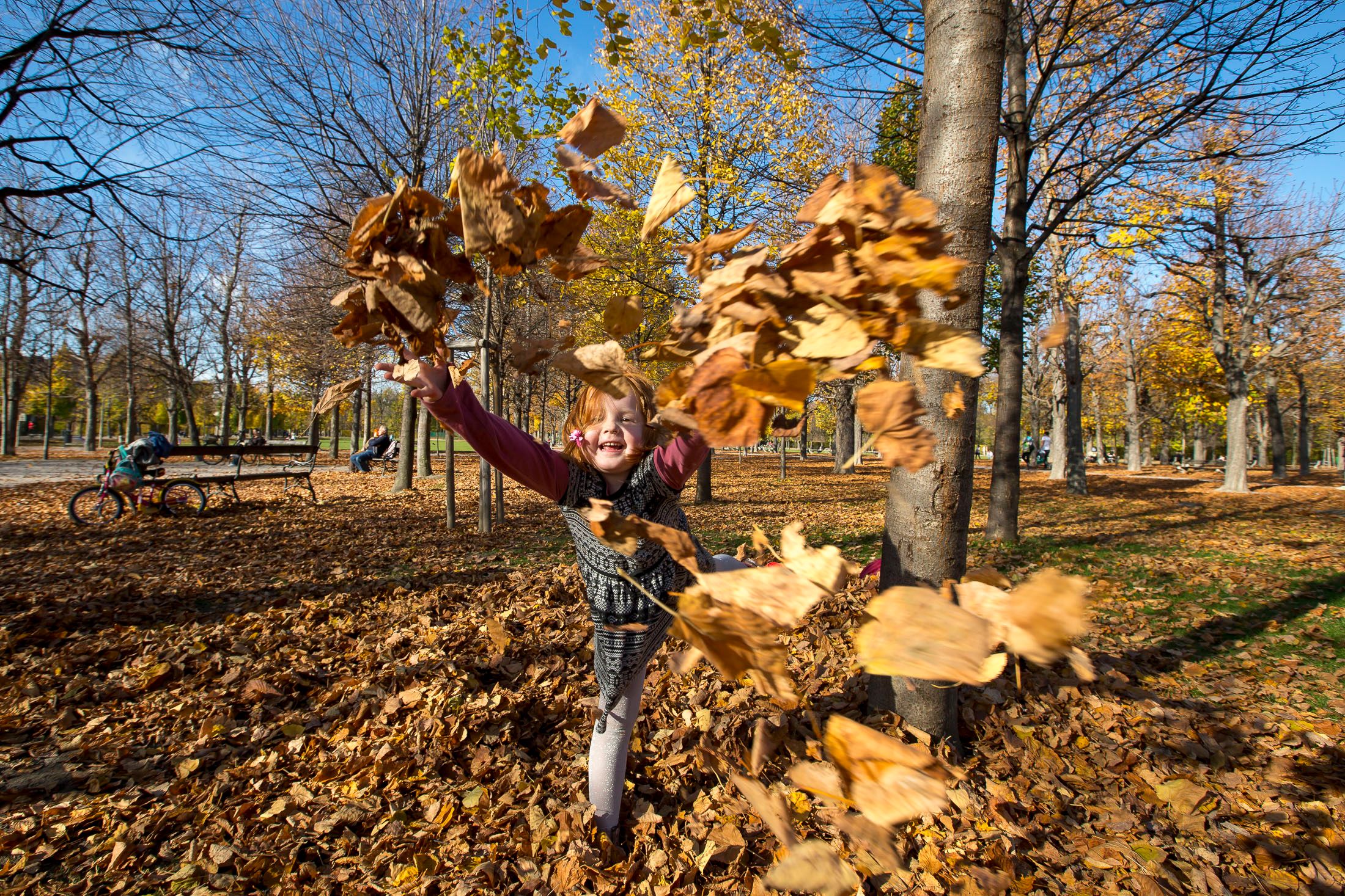 Nicht nur Kinder, auch Hunde spielen im Herbst gerne im und mit dem bunten Laub.