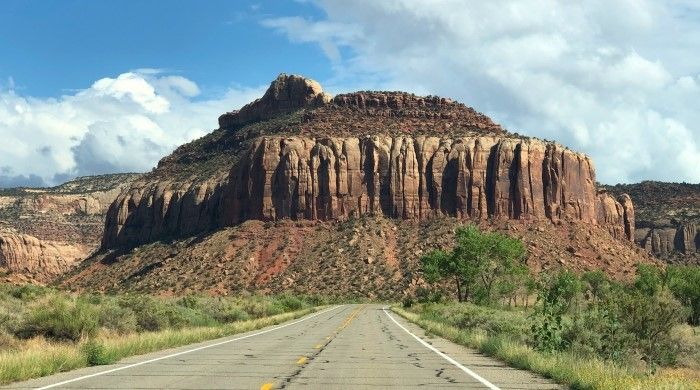 Zahl der Zombie-Unternehmen nimmt weiter zu und diese gefährden das Vertrauen in den Kapitalmarkt.
