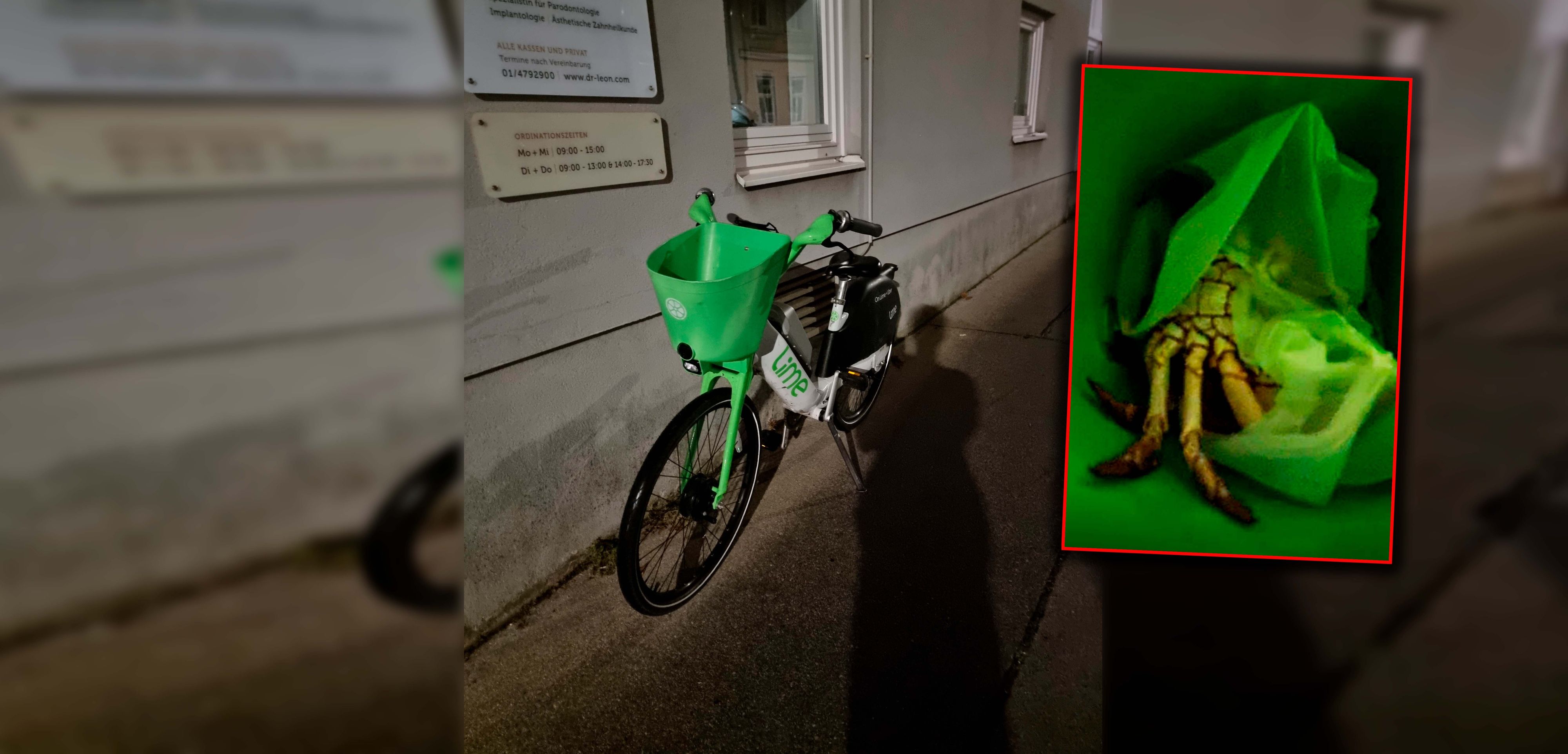 Die Krabbe sorgte in Währing für Gänsehaut.