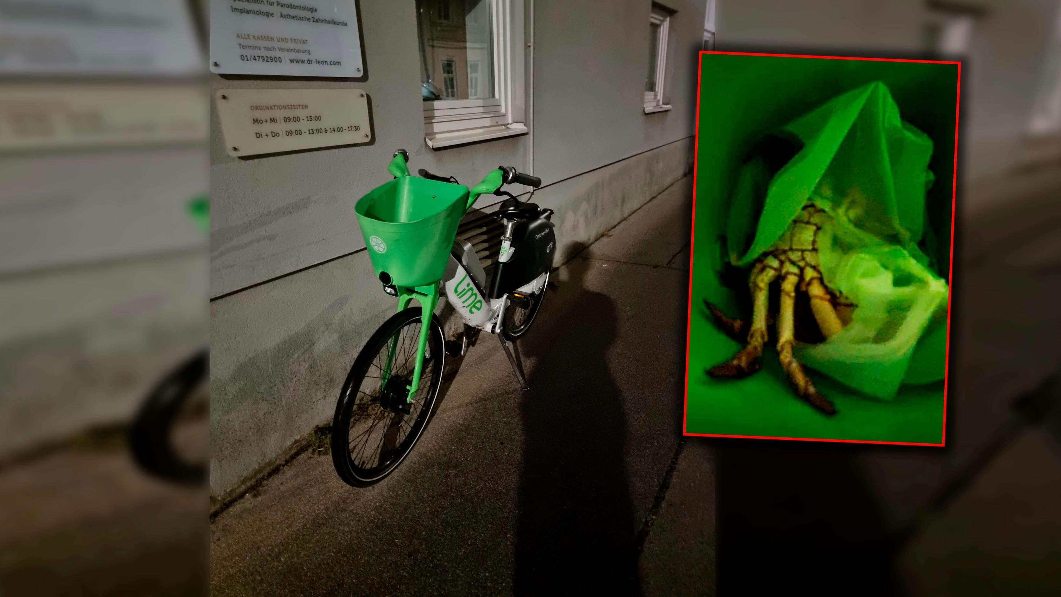 Die Krabbe sorgte in Währing für Gänsehaut.