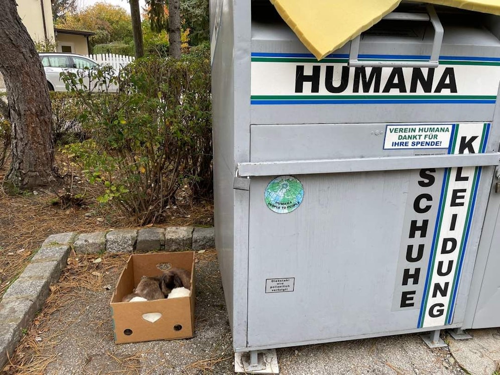 Neben dem Container wurden die Tiere abgestellt.