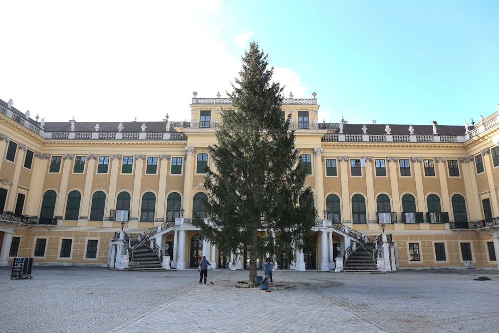 Am 2. November wurde die Waldviertler Fichte der Bundesforste vor dem Schloss Schönbrunn aufgestellt.