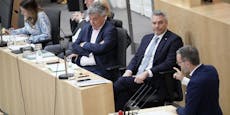 FPÖ blitzt mit Misstrauensantrag gegen Regierung ab