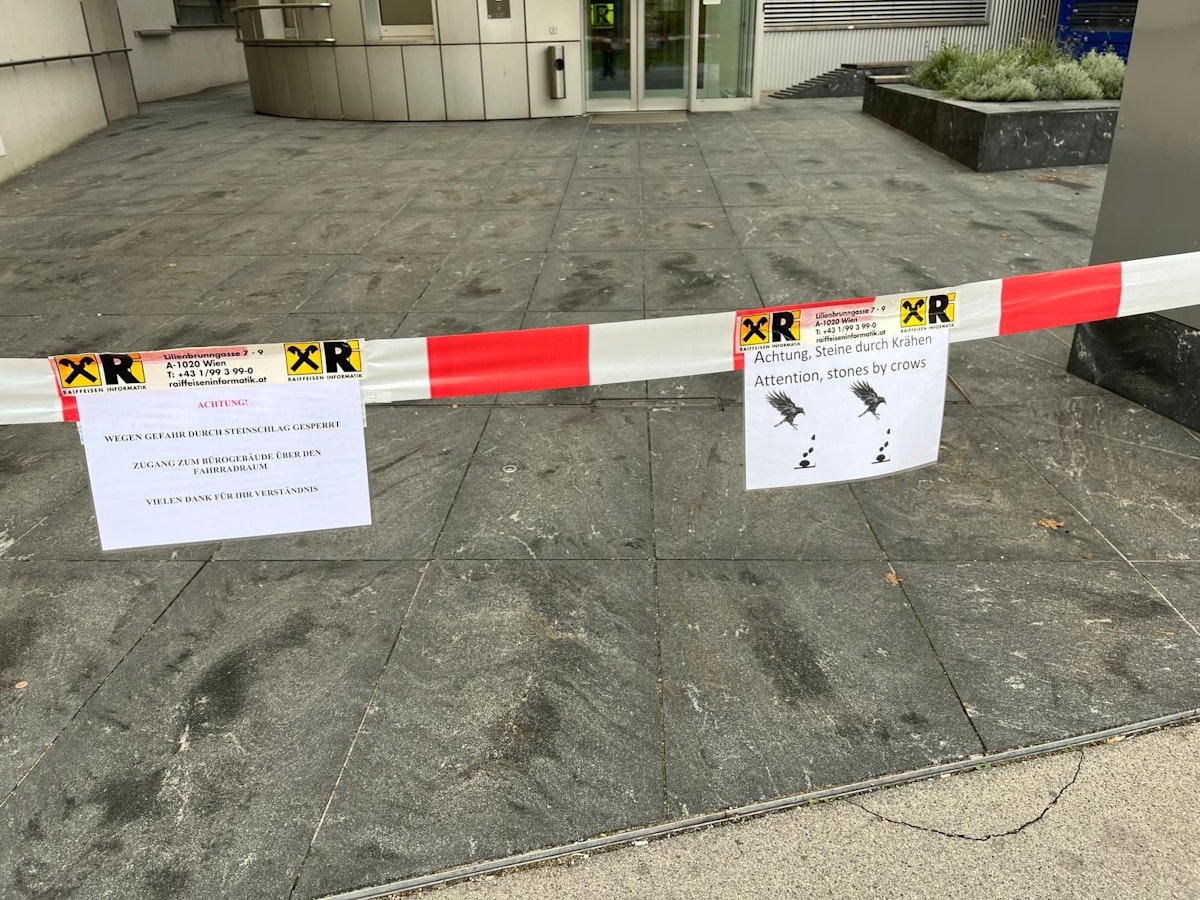 Weil Krähen Steine vom Dach werden, kann dieser Ein- und Ausgang derzeit nicht verwendet werden.