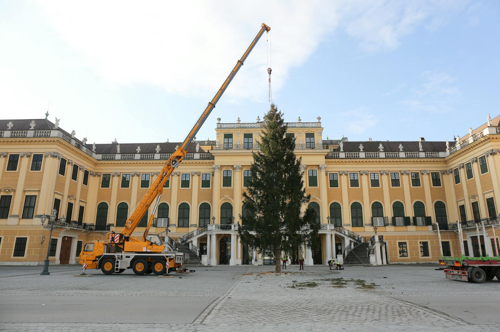 19 Grad in Wien – und der 1. Christbaum ist schon da!