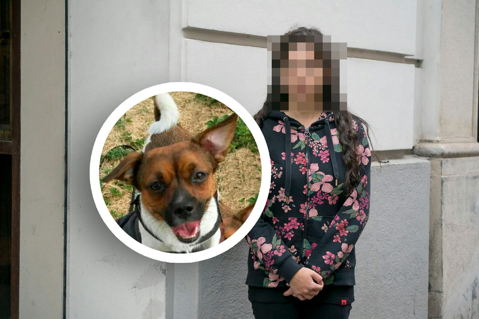 Hund starb qualvoll, Tierärzte wollen trotzdem 4.300 €