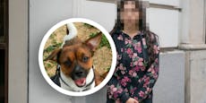 Hund starb qualvoll, Tierärzte wollen trotzdem 4.300 €