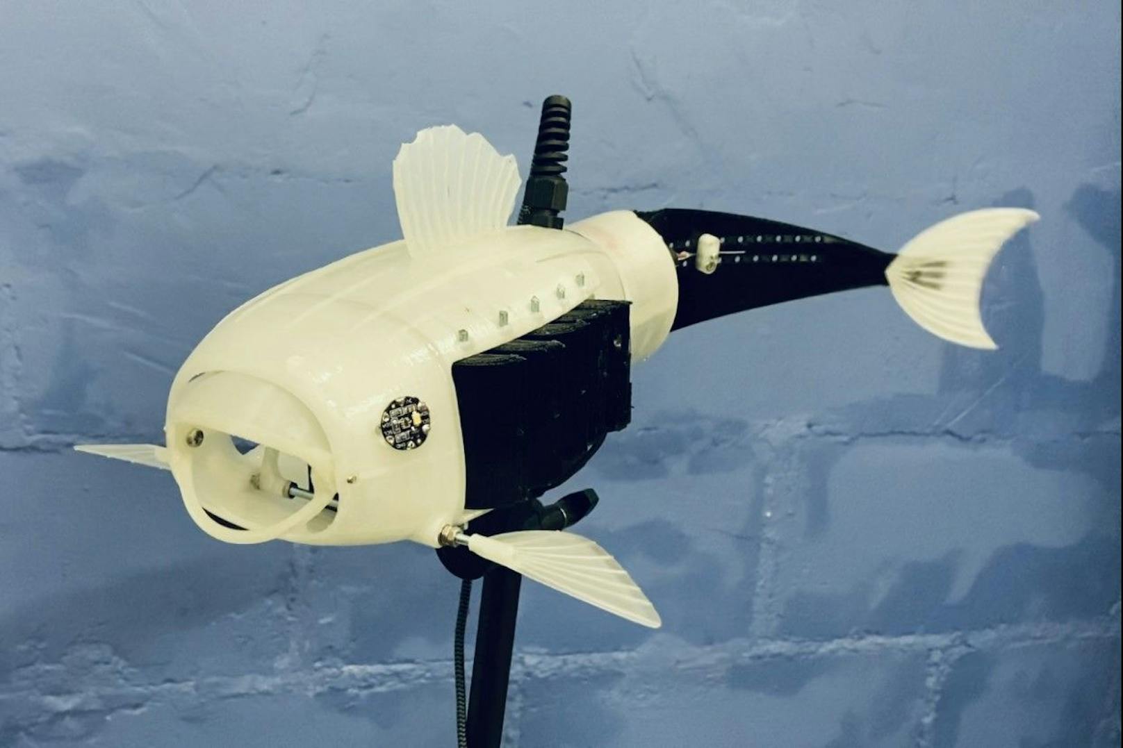 Roboterfisch "Gillbert".
