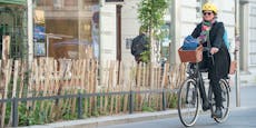 Wienerin fuhr mit E-Bike 2000 Kilometer durch die Stadt