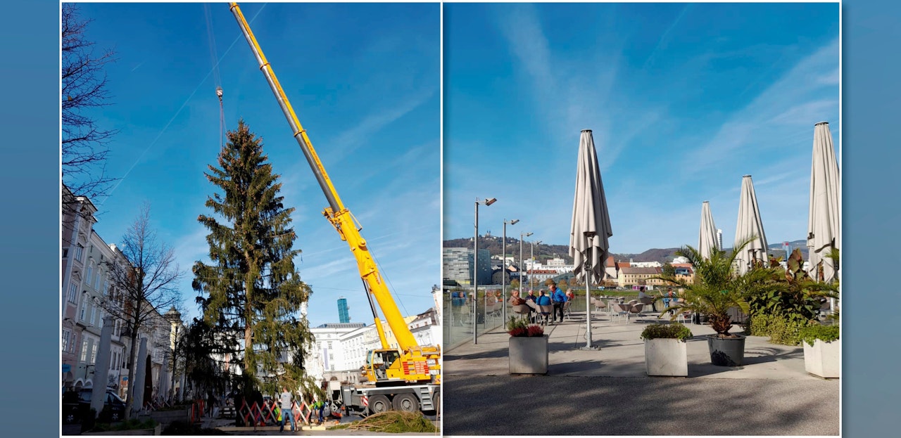 Heute.at - Christbaum bei 20 Grad und T-Shirt-Wetter aufgestellt