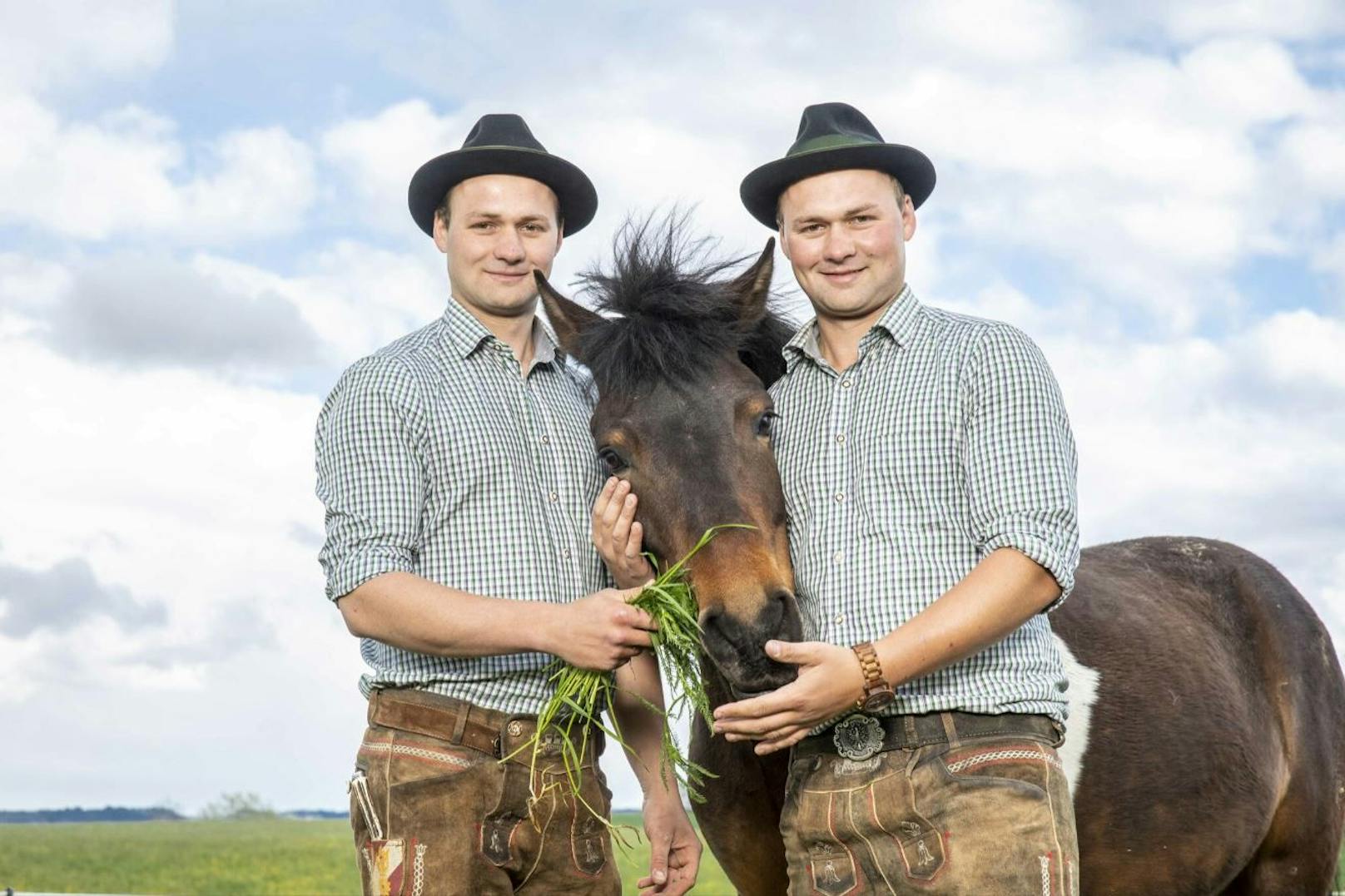 Sie haben auch Pferde am Hof.