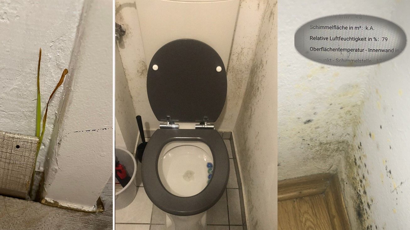 Wiener Familie lebt seit 4 Jahren in Schimmel-Wohnung