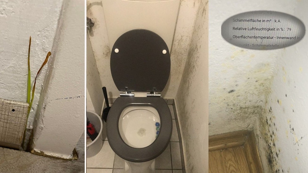Seit 2018 kämpft eine Wienerin gegen Schimmel in ihrer Gemeindebauwohnung an – ohne Erfolg.