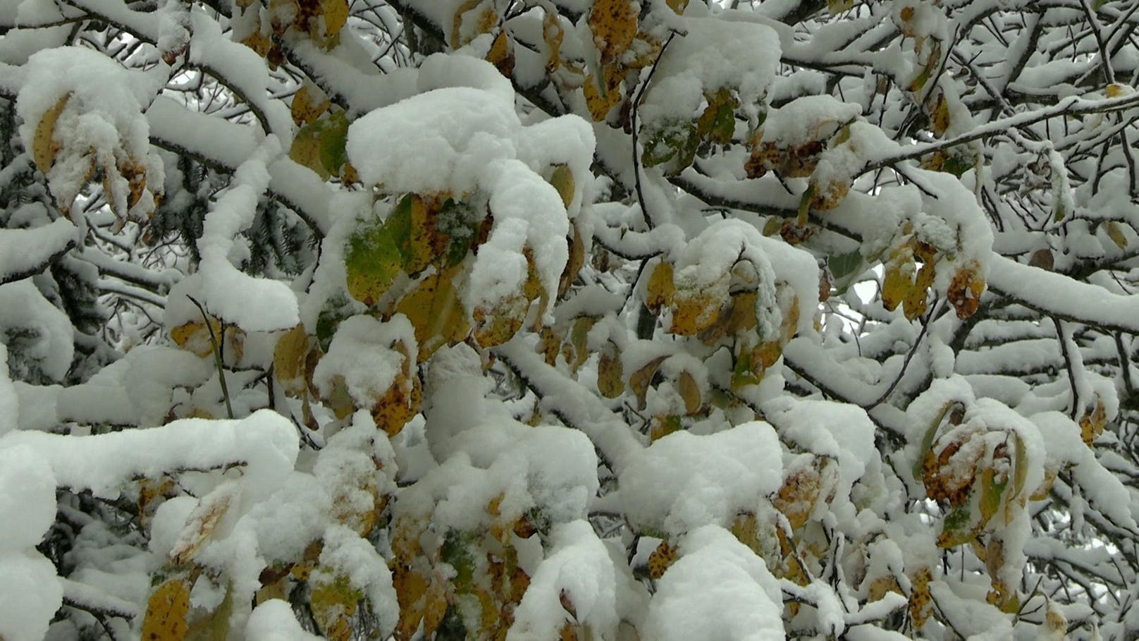 In der Tiroler Gemeinde Kühtai (Bezirk Imst) gibt es ohne Schneeketten kein Weiterkommen.