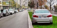 Falschparker stellt Auto in der Seestadt auf Wiese ab