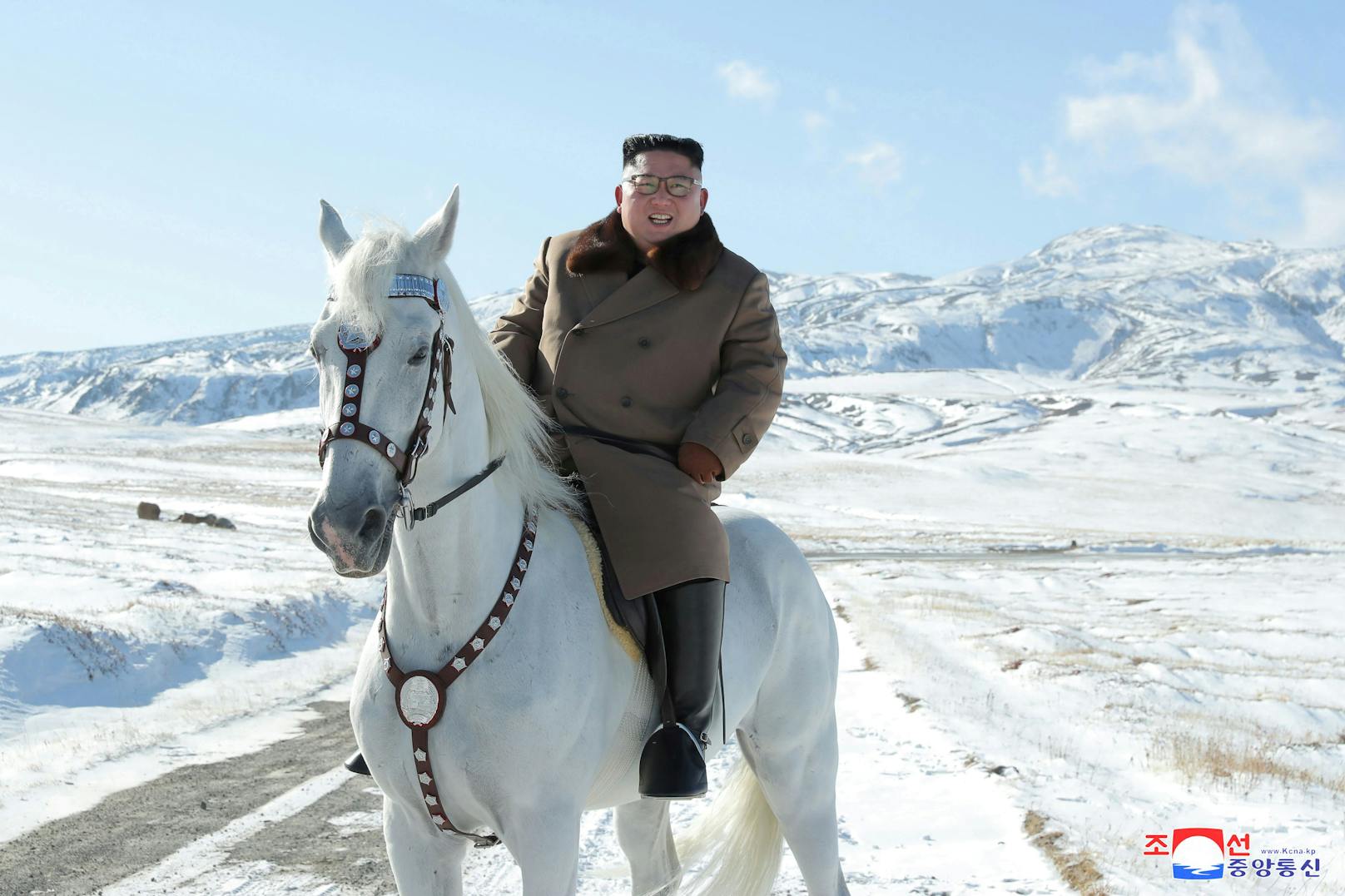 Kim Jong-Un bestitzt mehrere solcher Pferde – wie viele genau, ist unbekannt.