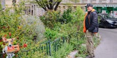 Kein Pflanz! 1.573 Hobby-Gärtner machen Wien grüner
