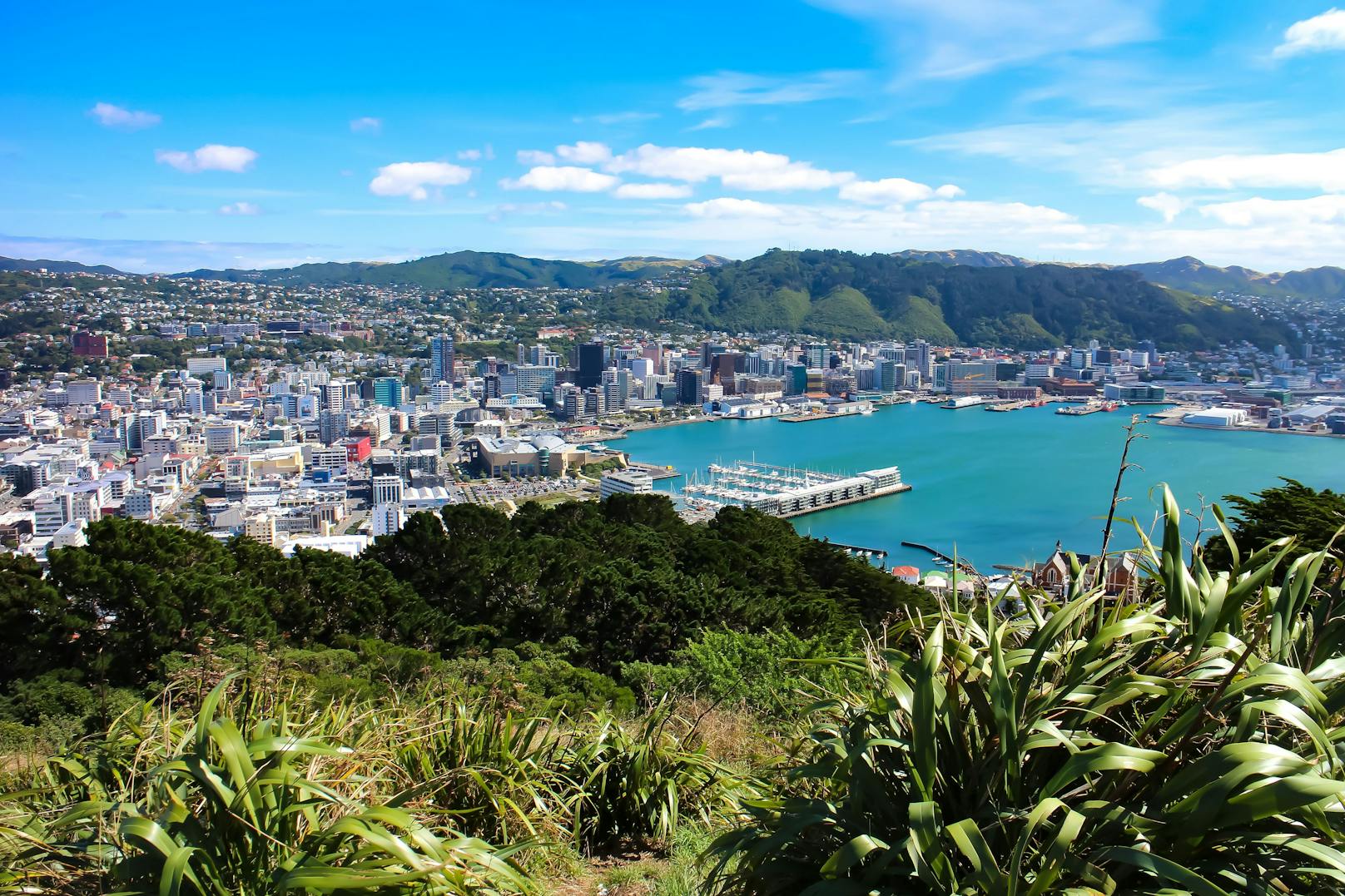<strong>7. Wellington (Wertung: 79/100):</strong> Neuseeland gilt als eines der sichersten Länder und seine Hauptstadt als eine der sichersten Städte der Welt. Touristen müssen sich hier keine Sorgen über Straßenkriminalität machen. Die Wahrscheinlichkeit, in Wellington Opfer eines Verbrechens zu werden, ist gering bis nicht vorhanden.