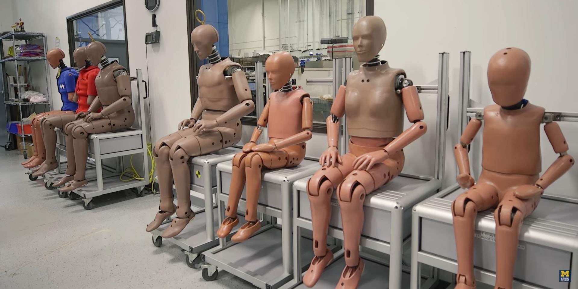 Standard-Dummies