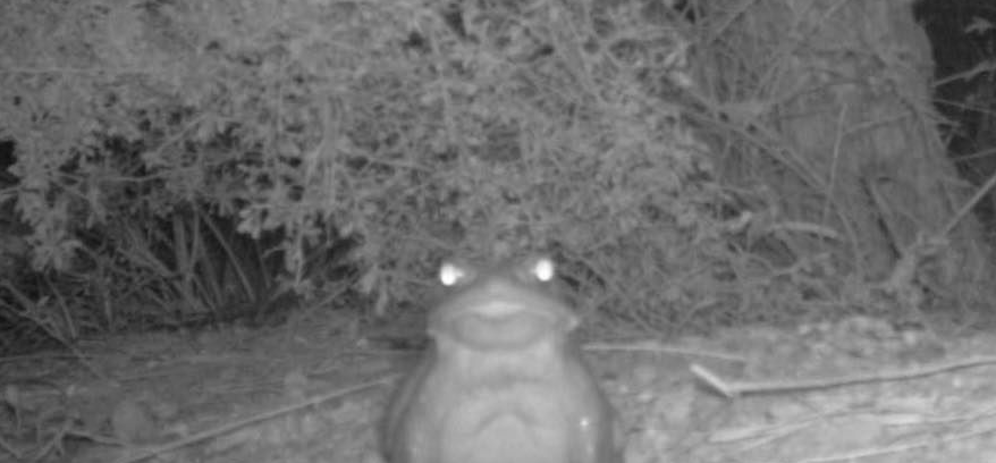 So beschreibt die Behörde das Foto, das sie postete: 