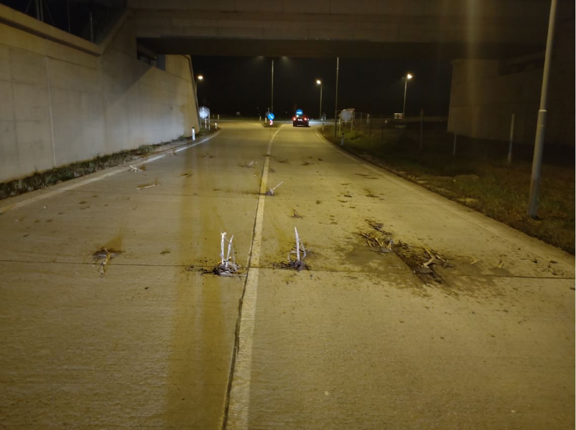Die Straße wurde stark verunreinigt, ein Pkw von den Wurfgeschossen getroffen.