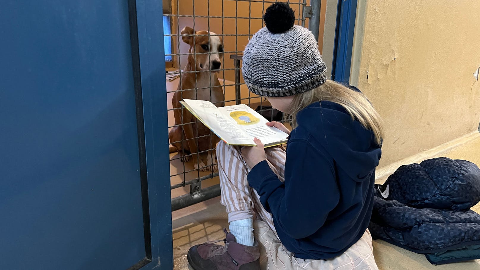 Im Rahmen des "Shelter-Buddy-Leseprogramms" lesen Kinder den Schützlingen des Tierschutzhaus Vösendorfs etwas vor.