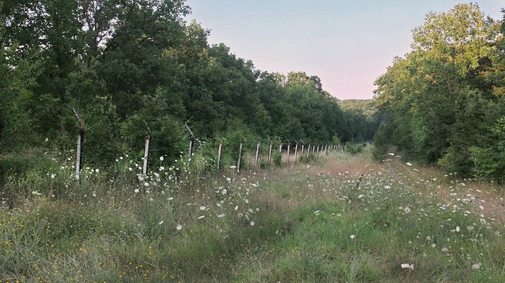 Eine Grenzpatrouille hat ein Loch im Grenzzaun zur Türkei entdeckt. (Symbolbild)
