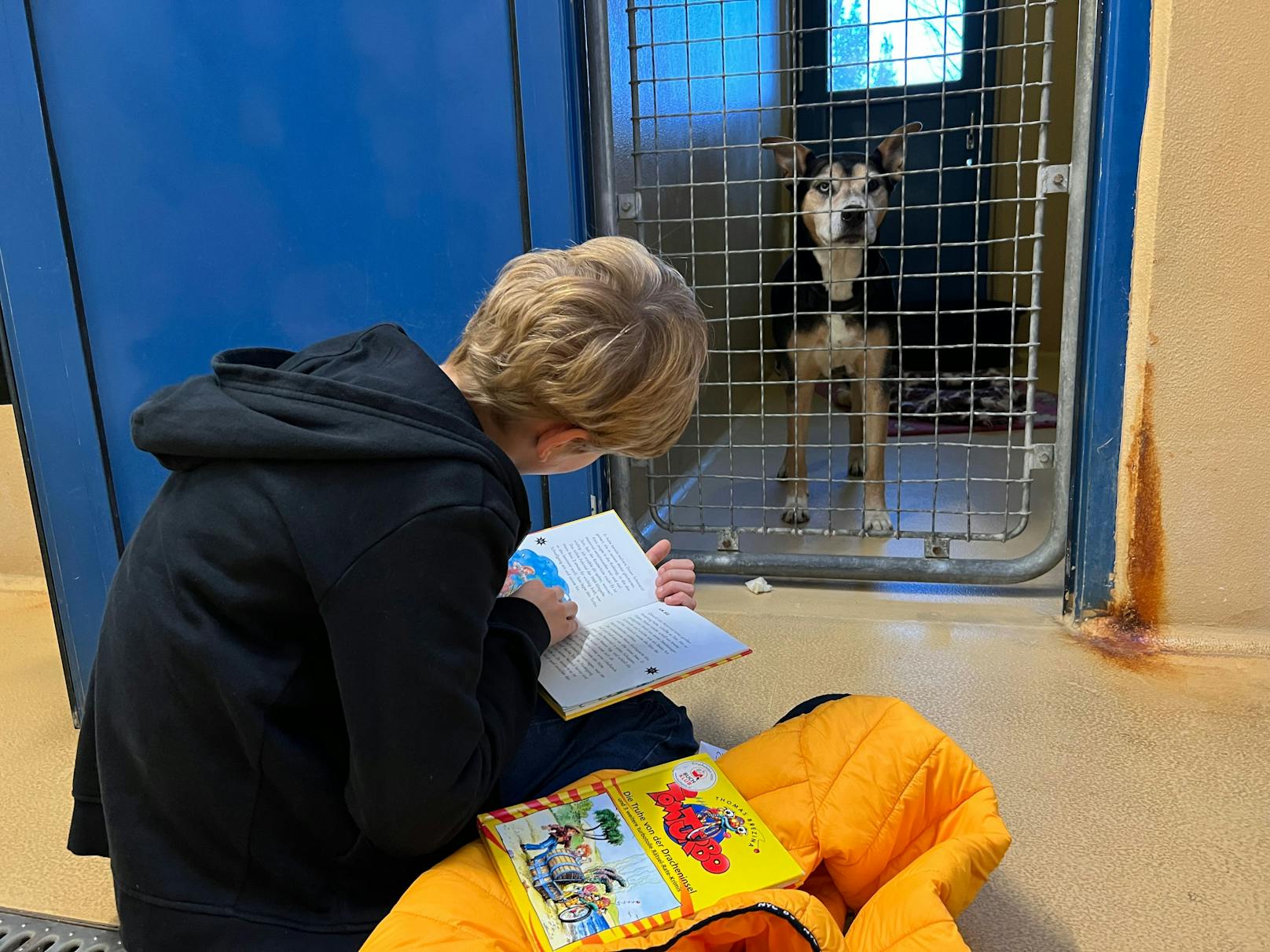 14 Kinder konnten im Rahmen Leseprogramms den tierischen Schützlingen im Tierschutzhaus vorlesen.